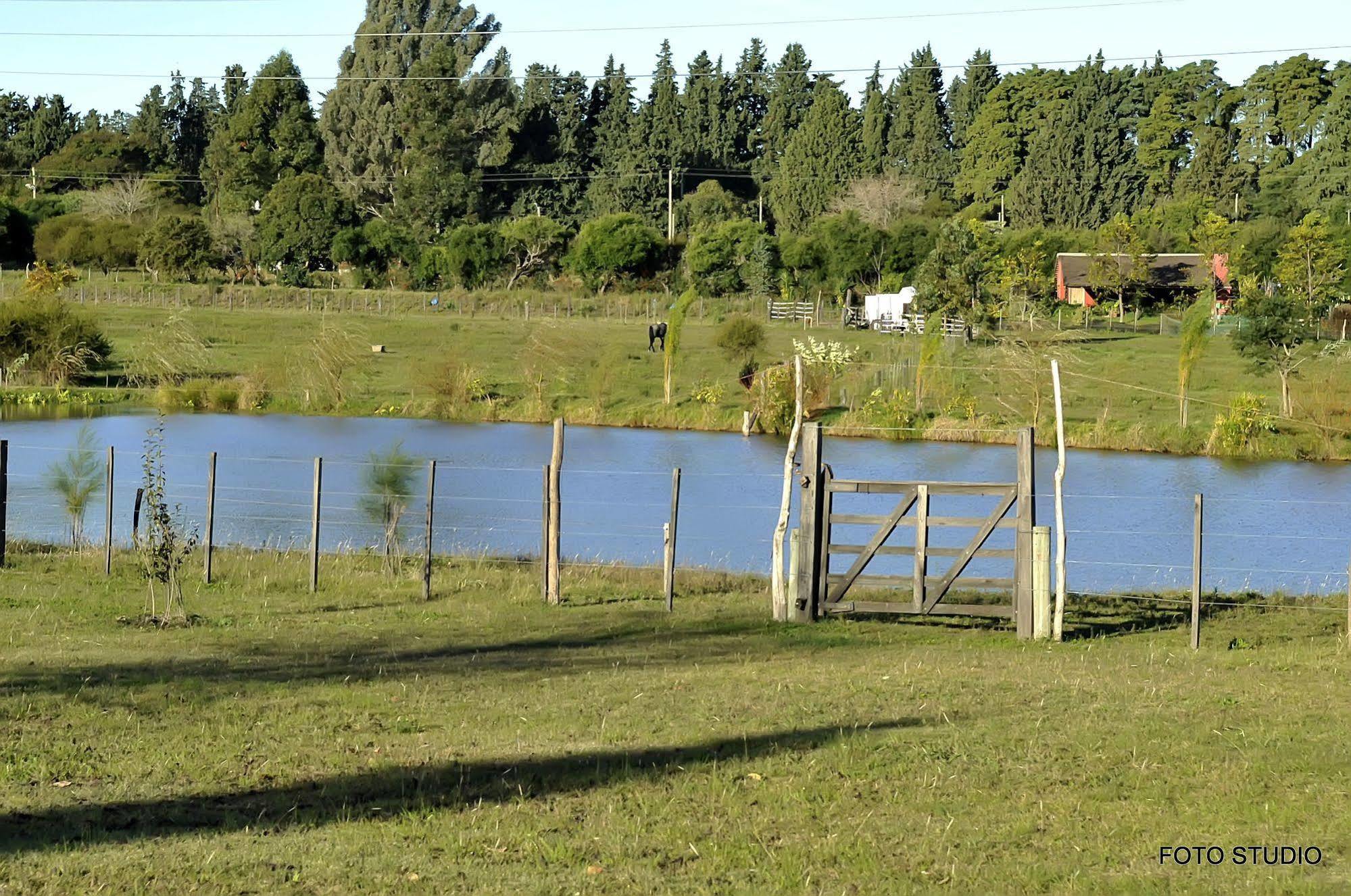 Hotel La Castellana Paysandú Eksteriør bilde